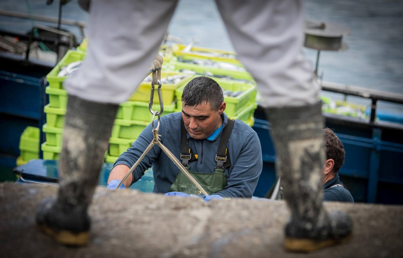 Fotos: La flota artesanal de Bermeo descarga 87 toneladas de verdel