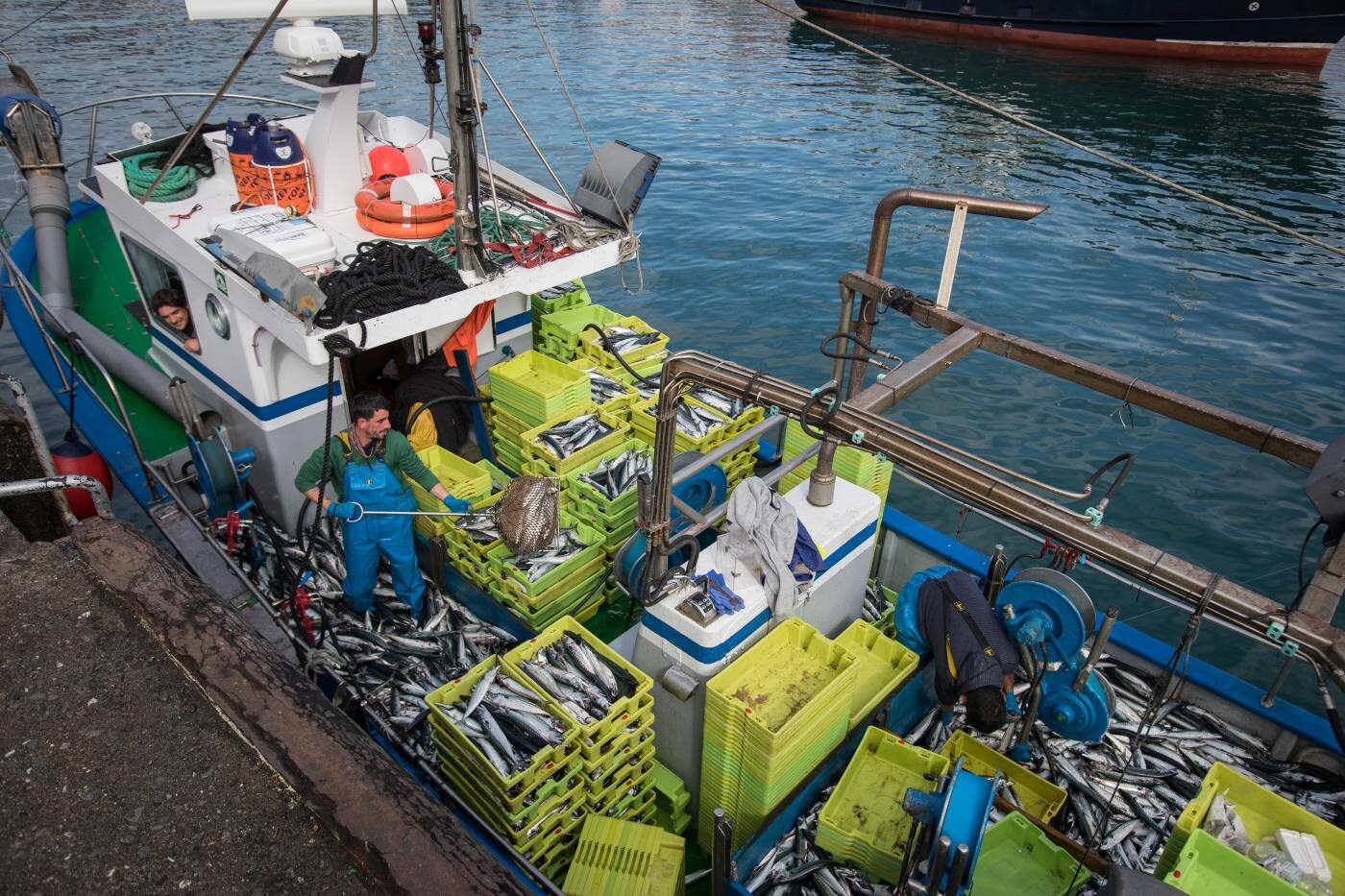 Fotos: La flota artesanal de Bermeo descarga 87 toneladas de verdel