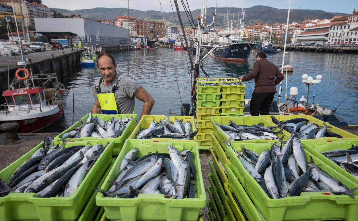 Pescadores en el Puerto de Bermeo.