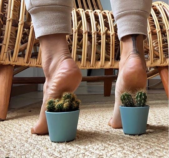 Fotos: Los tacones del momento son de papel higiénico, frutas y hasta cactus