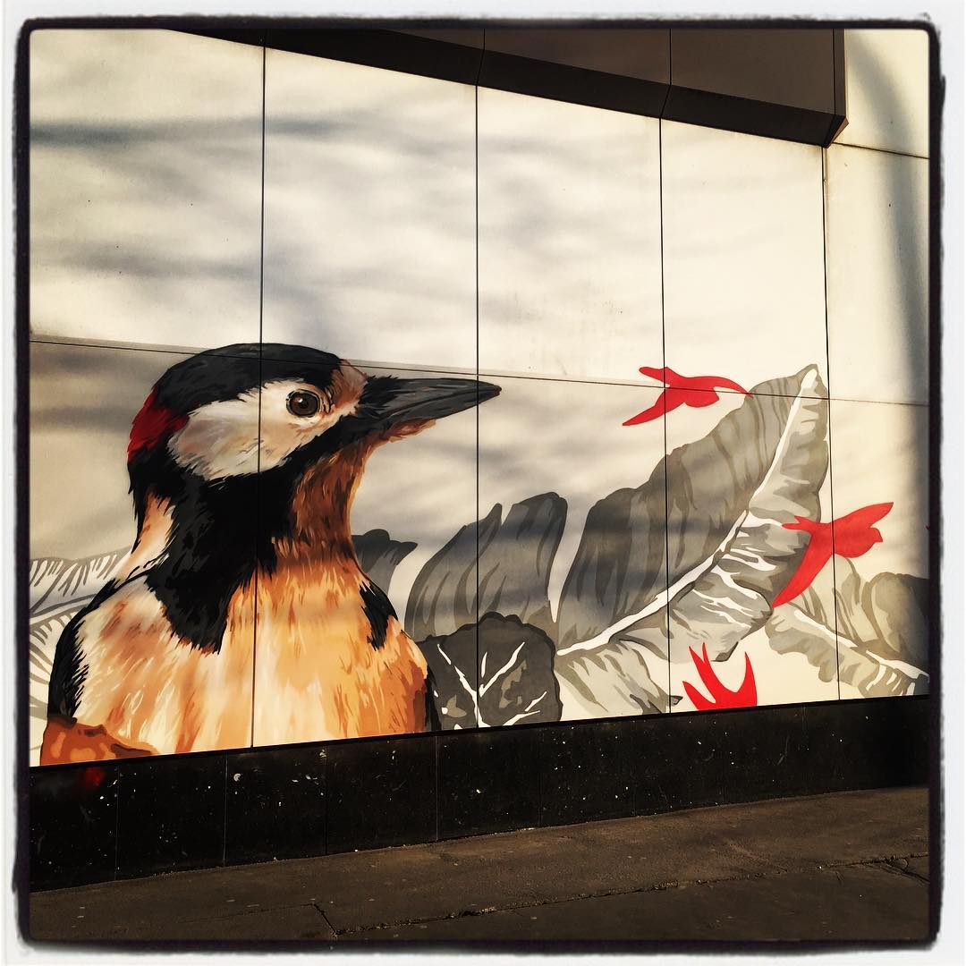 Si hablamos de arte en la calle donde la flora y la fauna sean protagonistas, sin duda, tenemos que hacer referencia al espectacular mural que decora parte de la fachada del centro comercial del barrio de Ariznabarra. Esta alegría para los ojos lleva la firma de la artista Eva Mena. Es toda una muestra de biodiversidad. ¡No se lo pierdan! Es simplemente espectacular.