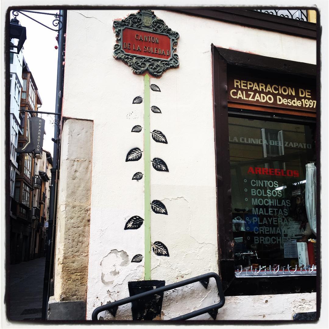 Las muestras de arte urbano se encuentran en los lugares más insospechados. Eso ocurre con esta planta que ha brotado de la pared en el Cantón de la Soledad.