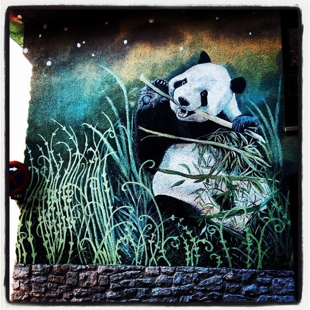Animales procedentes de diferentes continentes simbolizan la diversidad y multiculturalidad presentes en el Casco Medieval de la capital alavesa. Este mural que forma parte de 'La ciudad pintada', realizado en 2008, se plasmó sobre las cuatro fachadas (ventanas, puertas, chimeneas, tubos, etcétera...) de la escuela infantil Haurtzaro. Se localiza en el cantón de Santa María, s/n. Para no perderse ni un detalle, hay que observarlo desde el cantón de Santa María y las calles San Vicente de Paúl y Bueno Monreal.