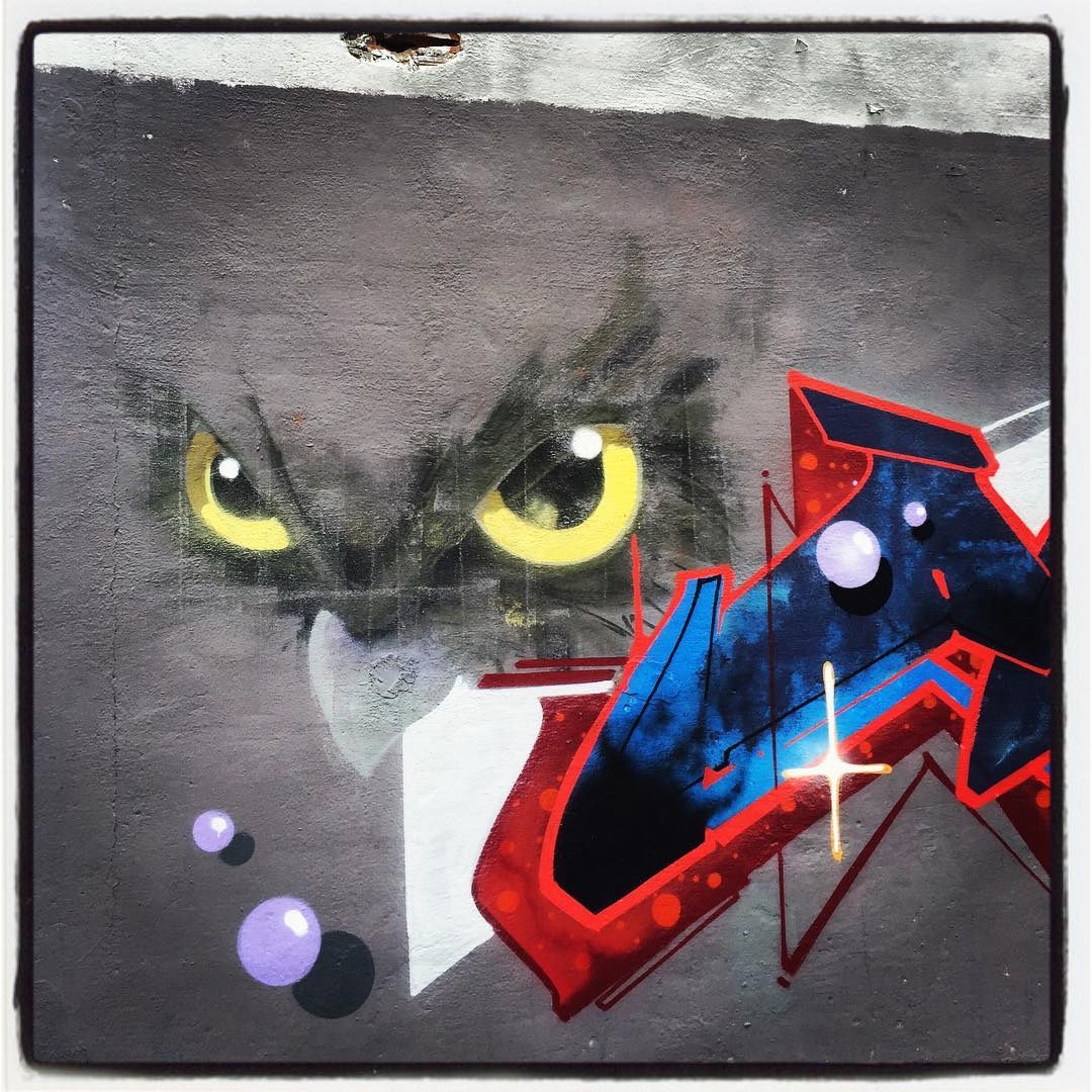 La amarilla y desafiante mirada de este ave deja inquietos a quienes la observan.