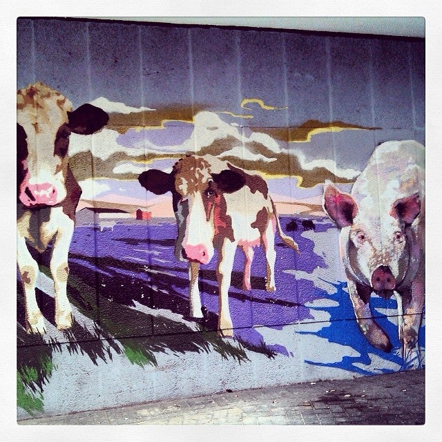 Una de las señas de identidad del mercado de Zaramaga son los murales que decoran sus puertas exteriores. Hay peces, vacas, queso y otros muchos productos que evocan los alimentos que se pueden adquirir en su interior.