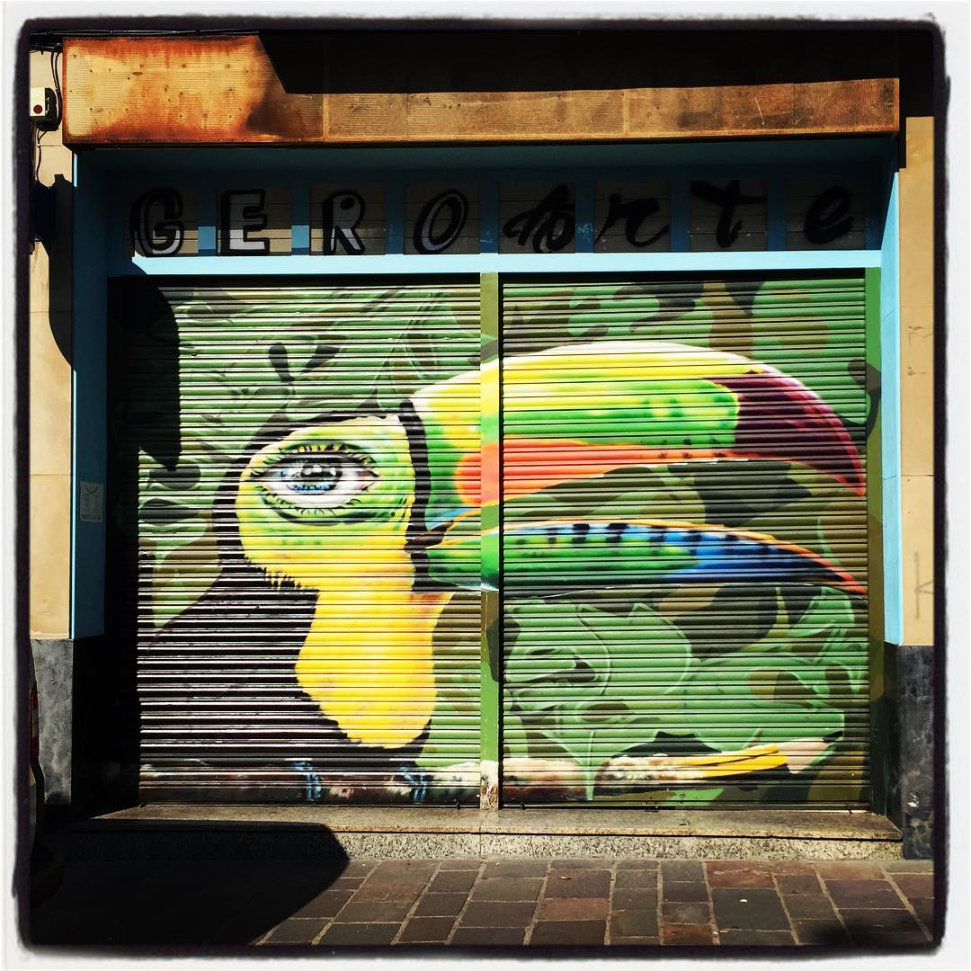 Sobre la persiana de esta lonja del Casco Medieval de Vitoria asoma este enorme tucán; con un pico muy desarrollado y de vivos colores.