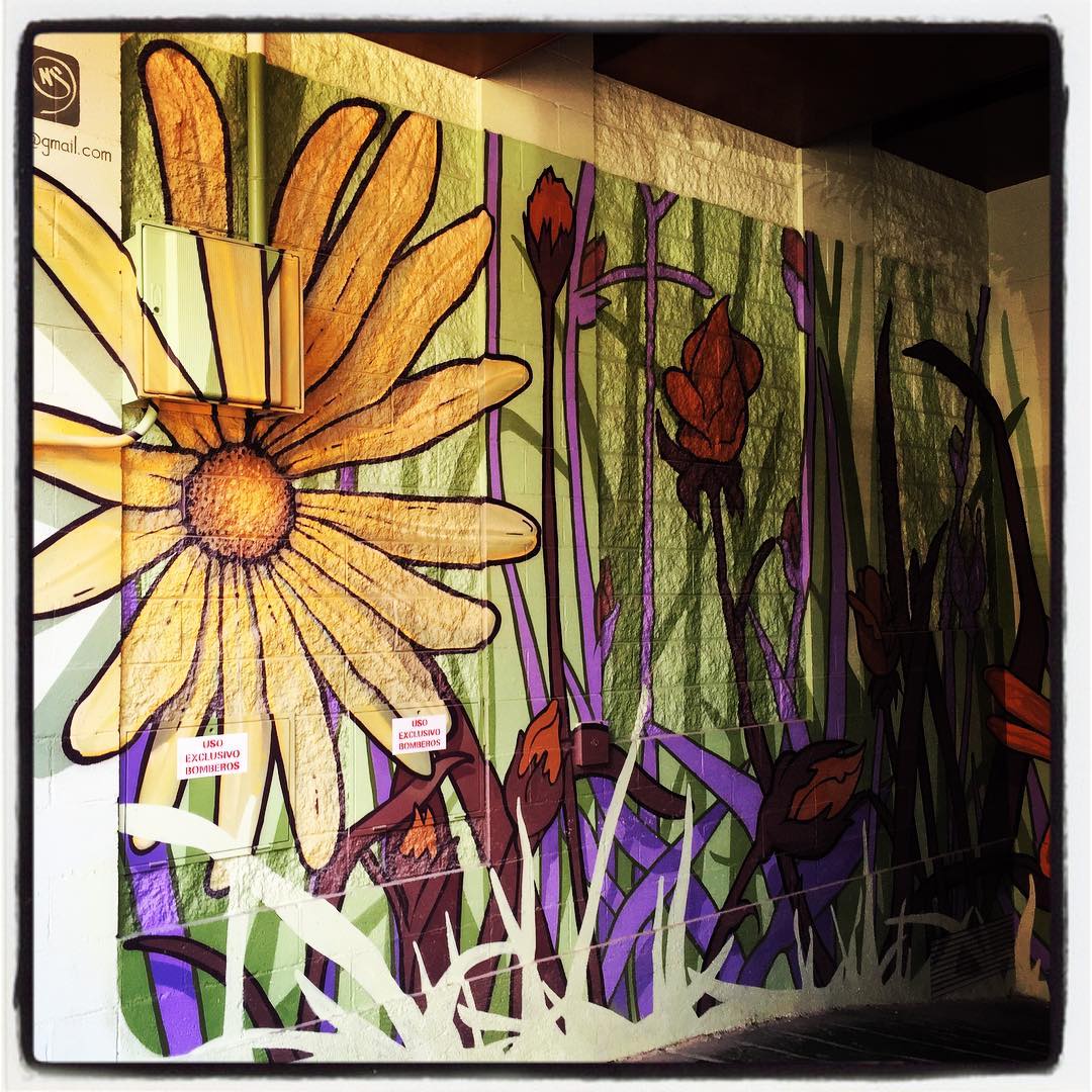 Este garaje comunitario de la calle San Antonio luce su particular jardín con numerosas flores de diversos tipos, tamaños y colores.