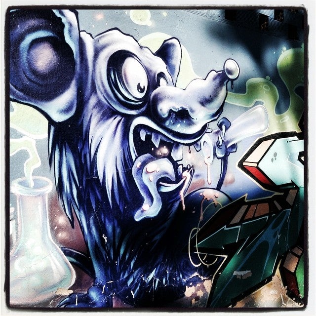 Otros especímenes que pueblan los muros de la ciudad son más difíciles de catalogar. Este 'monstruo' parecer ser el resultado de una pócima.