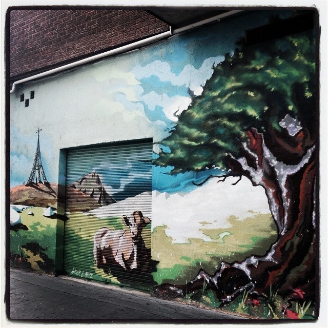 En este rincón situado entre los barrios de Adurza y San Cristóbal reposa tan pancha esta vaca, que reposa bajo la sombra de un árbol.