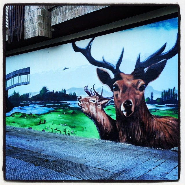 Parece que los ciervos y el entorno de Salburua, incluida la icónica sede de Ataria, son motivo de inspiración para muchos artistas urbanos. Este mural se encuentra en la calle Joaquín Collar, en Aranzabela.