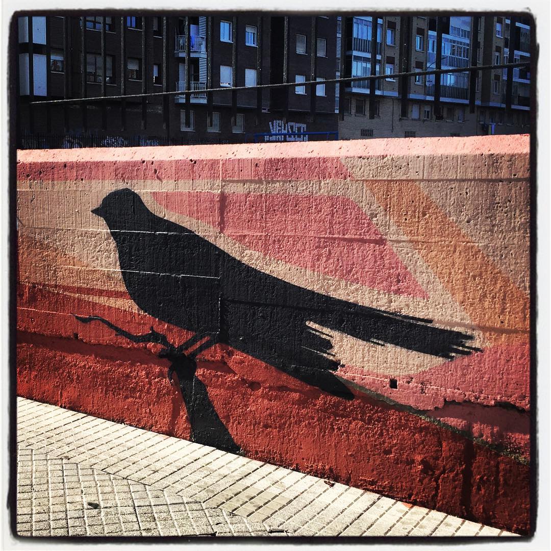 El colegio Escolapios, ubicado en el barrio vitoriano de Santa Lucía, presume de una extensa pintura en uno de los laterales del muro y la valla que delimitan su perímetro. Entre las numerosas figuras que se pueden apreciar, destaca este inmenso pájaro.