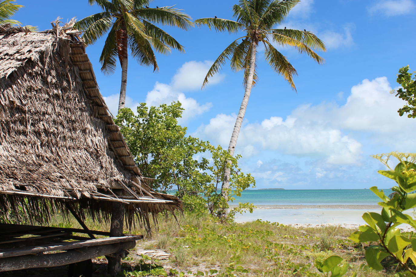 Kiribati | Kiribati, una república insular del Pacífico Central, incluye 33 atolones de coral e islas que se extienden por el ecuador. Con lagunas y playas de arena blanca, muchas de sus islas están desiertas y ofrece una ubicación remota para la pesca, el buceo y la observación de aves. 