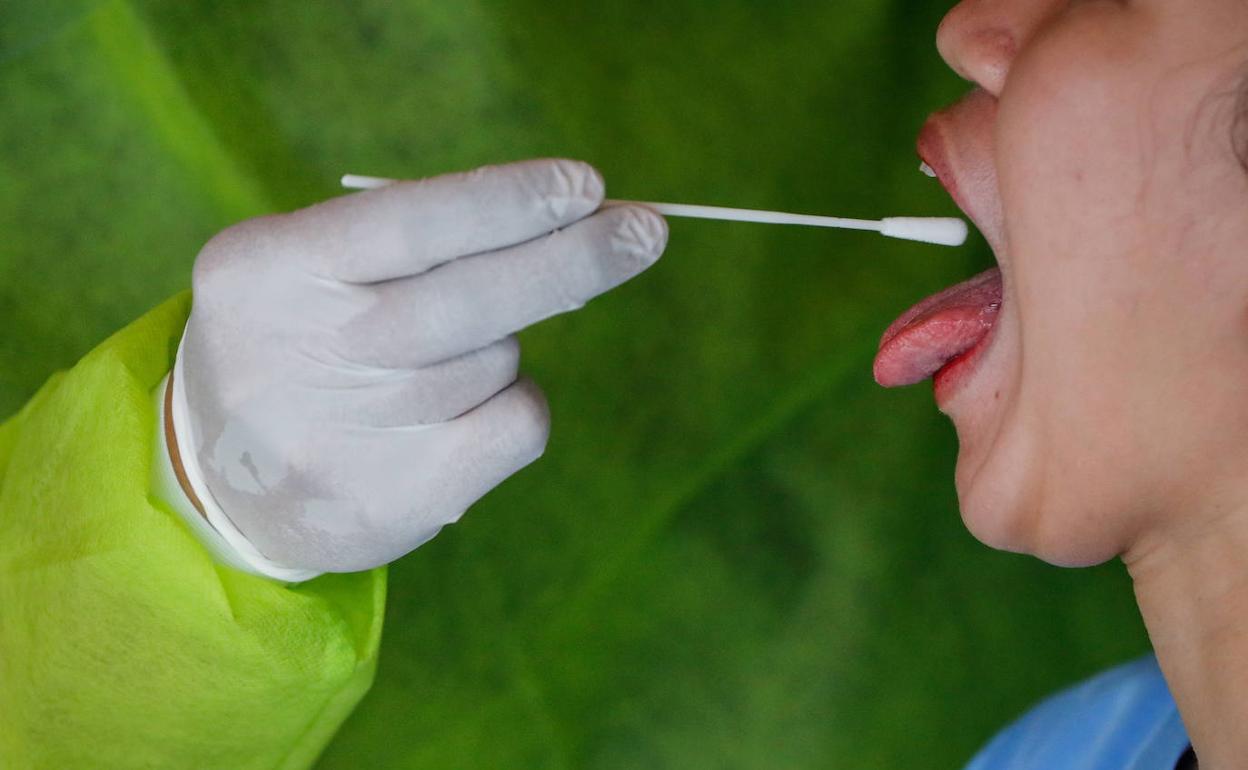 Este test ayudaría a obtener una dimensión más real de la incidencia de la enfermedad.