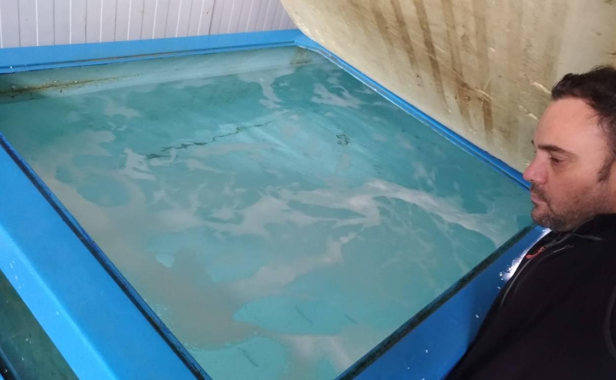 Los viveros de Gaizka Fernández lucen estos días vacíos porque no tiene establecimientos hosteleros a los que enviar su género. 