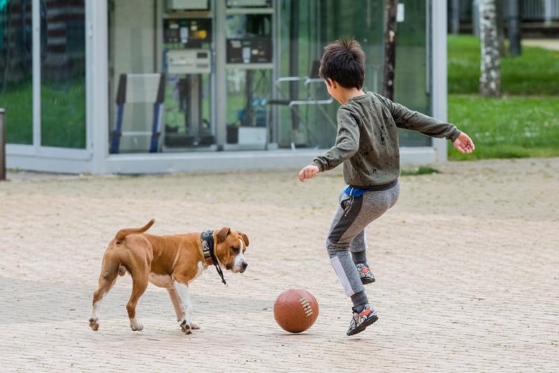 Fotos: Más de 48.000 niños alaveses ya pueden salir a la calle