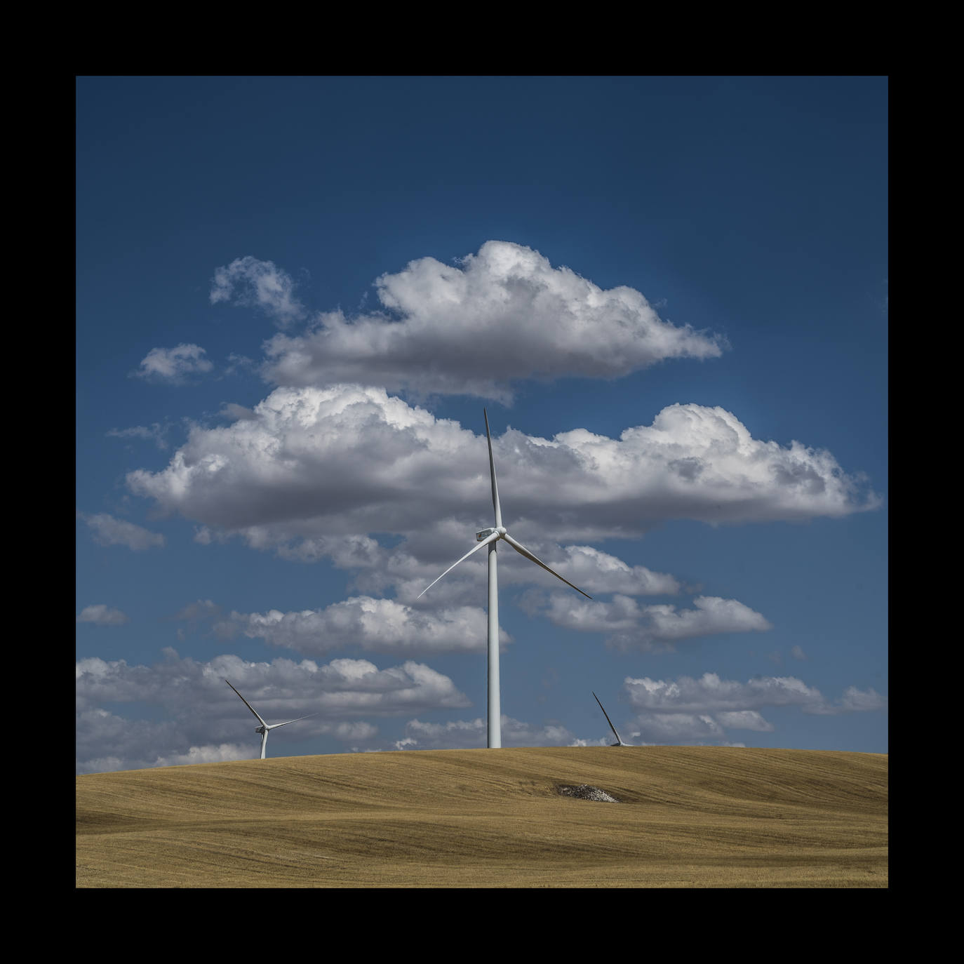 Los parques eólicos han invadido el páramo castellano, hasta el punto de que cada vez son menos los espacios que han logrado mantenerse ajenos a este signo de los tiempos. En la imagen, aerogeneradores en un trigal a las afueras de Ampudia sobre un fondo de cumulonimbos.