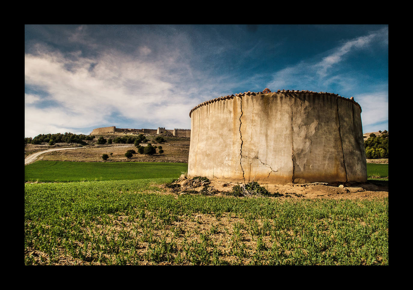 Palomares como el de la imagen son típicos en toda esta región, como una prolongación vertical de las arcillosas tierras castellanas. Agrietados, a menudo abandonados, su silueta, emergiendo entre los trigales, es reconocible a kilómetros de distancia y a menudo son el único elemento capaz de romper la monotonía.