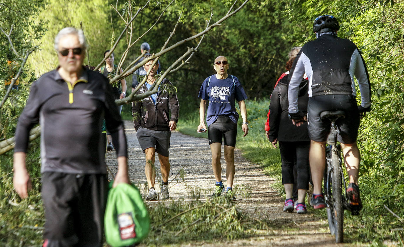 Fotos: Paseos y deporte al sol en Vitoria en el primer primer domingo de desescalada