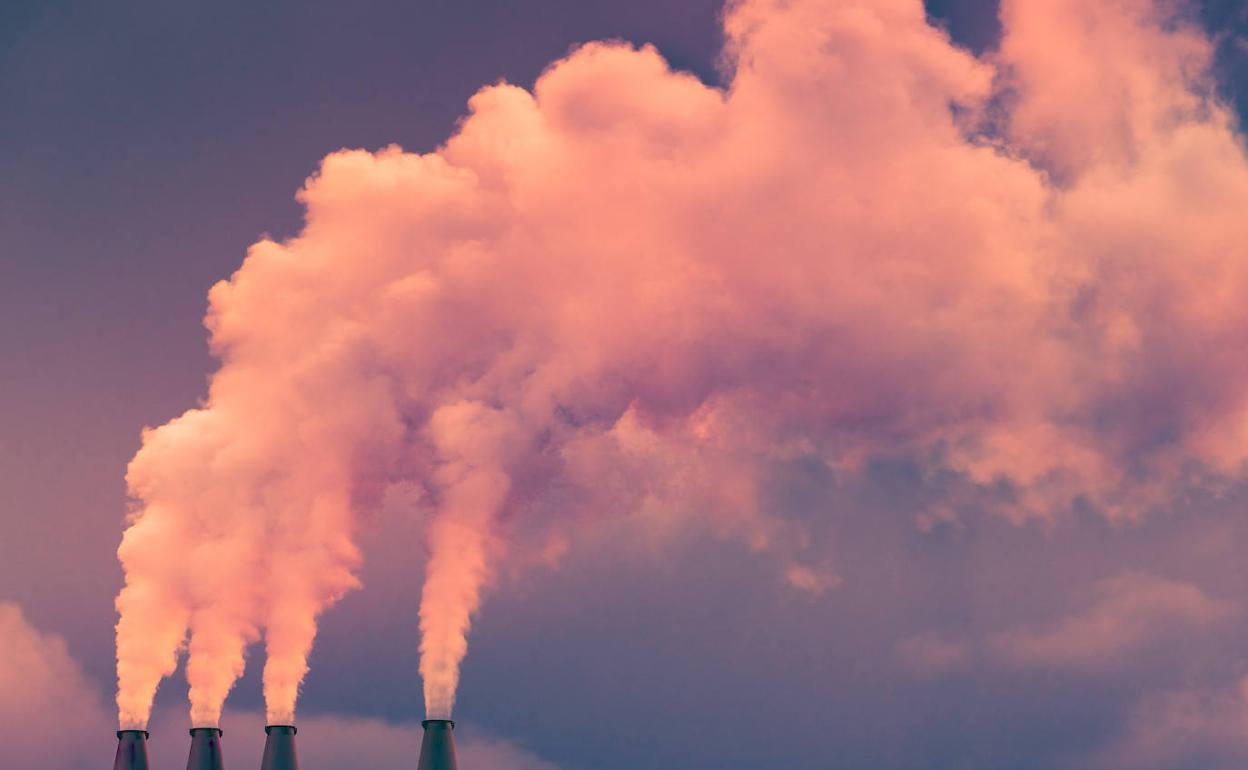 Kutsaduraren beherakada zertxobait handiagoa izan da apirileko batez bestekoan martxoko bigarren hamabostaldian baino.