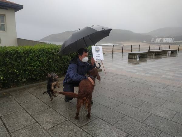 Con total libertad para moverse, sin necesidad de tener que guardar la distancia. Así se ha encontrado Iñigo Oviedo esta mañana el paseo por la playa de Plentzia. Una oportunidad que sus dos perros no han desaprovechado para jugar bajo la lluvia. "A estos no les importa mojarse", ríe. A él tampoco. Paraguas en mano se ha echado a la calle para soltar las piernas. "La lluvia es el mejor remedio para eliminar turistas", bromea, mientras acaricia a sus canes. Una imagen que dista mucho de la habitual. "El contraste es muy fuerte", comenta.