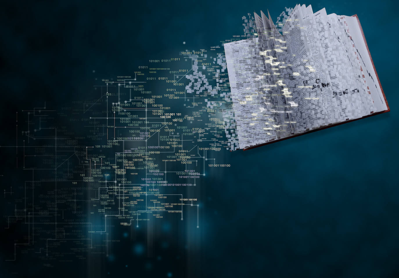 Digitalizazioa irudikatzen duen argazkia.