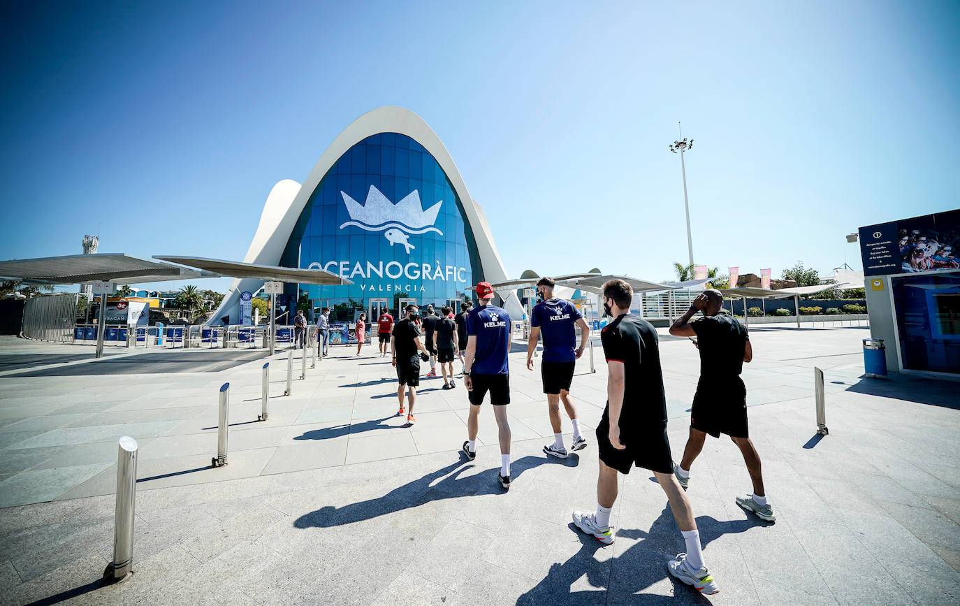 Fotos: El Baskonia visita el Oceanogràfic de Valencia