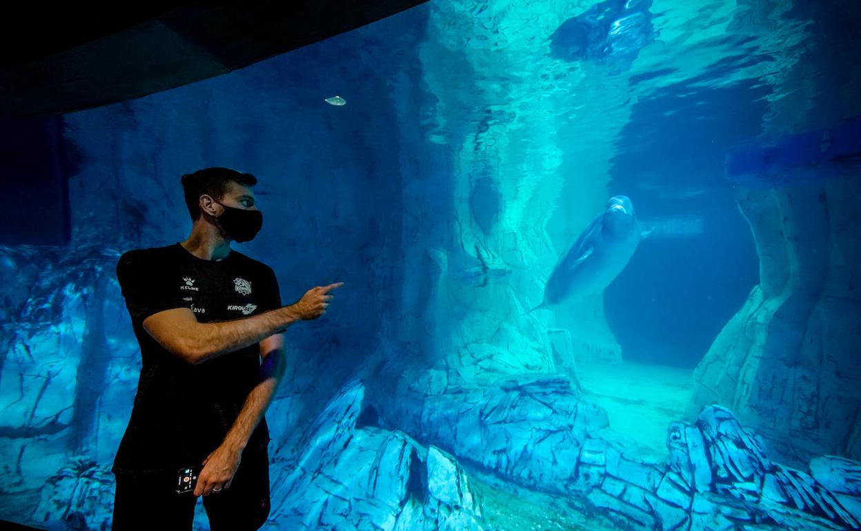 Los jugadores del Baskonia visitaron ayer en Oceanogràfic. 