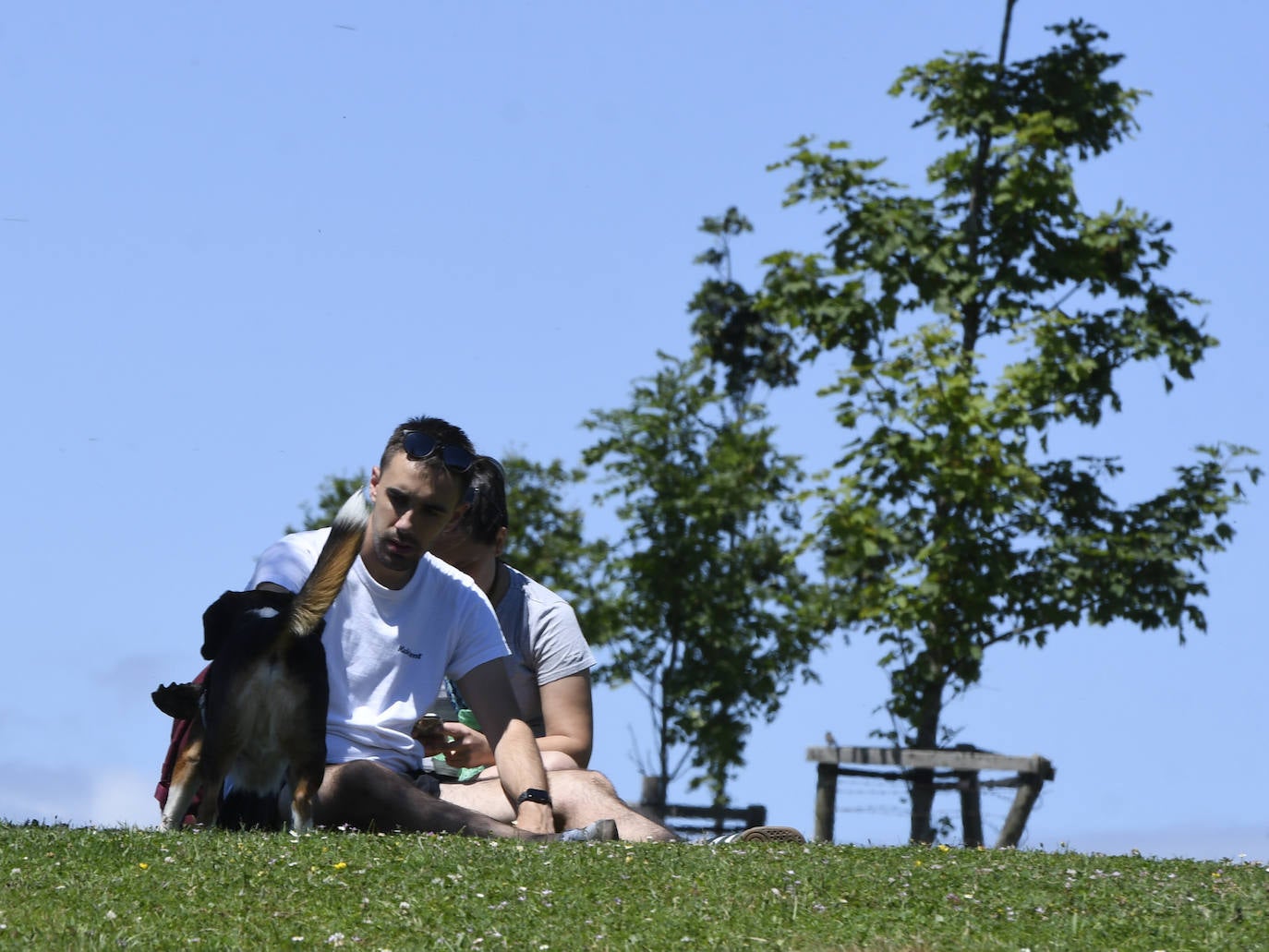 Fotos: Playas verdes de Bilbao