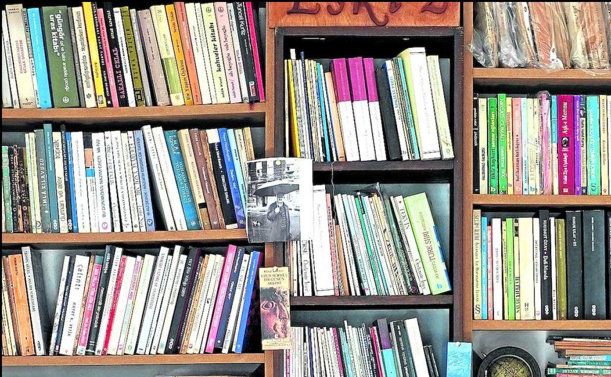 Liburutegia atontzen