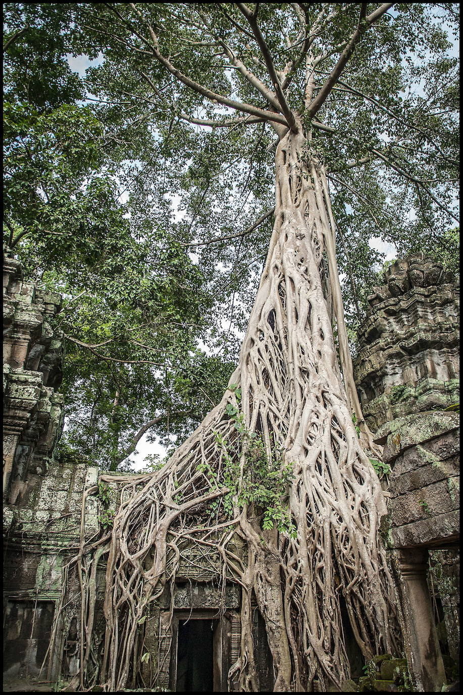 Los templos de Angkor Wat, en la región de Camboya, son considerados como el mayor complejo arqueológico del sureste asiático, permanecieron desconocidos al mundo occidental hasta mediados del siglo XX. El territorio fue, en el siglo primero de nuestra era, el exótico país Jemer. La tradición estipulaba que cada rey debía erigir un nuevo templo a Shiva (el dios destructor) o a Vishnu (el guardian) según le perteneciera, y que a su muerte le serviría de tumba. Así empezaron las edificaciones religiosas a los dioses hindúes, concebidas como una representación simbólica del universo. Su abandono sigue siendo uno de los misterios que envuelven estas reliquias