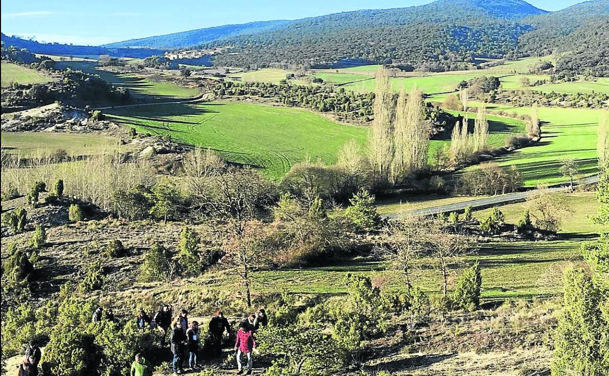 Vista de los terrenos donde se pretendía asentar el embalse para regadío en Barrón. 