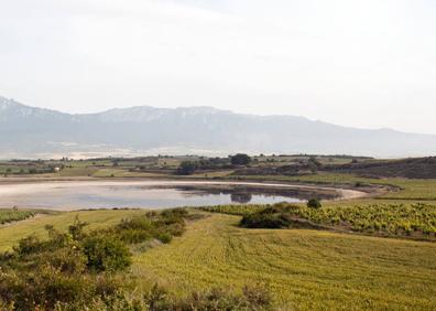 Imagen secundaria 1 - 1. Dolmen La Chabola de la Hechicera. 2 Las lagunas bañan los pies de la localidad alavesa. 3. La emblemática torre de Oion. 