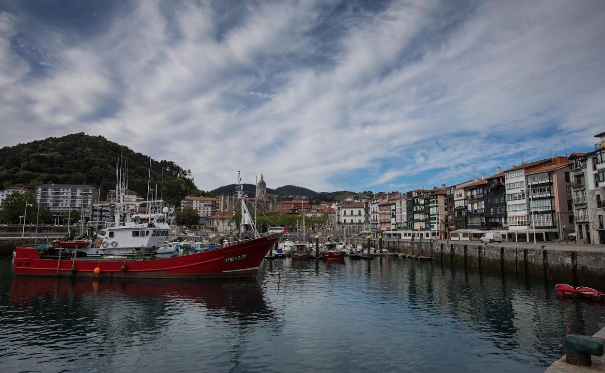 Pesquero en el puerto de Lekeitio. 