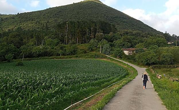 El bonito sendero junto al arroyo Olalde bordea en encinar del Ereñozar.