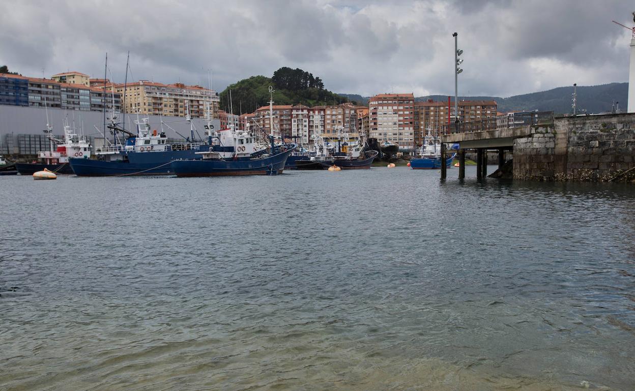 Imagen del puerto de Bermeo.