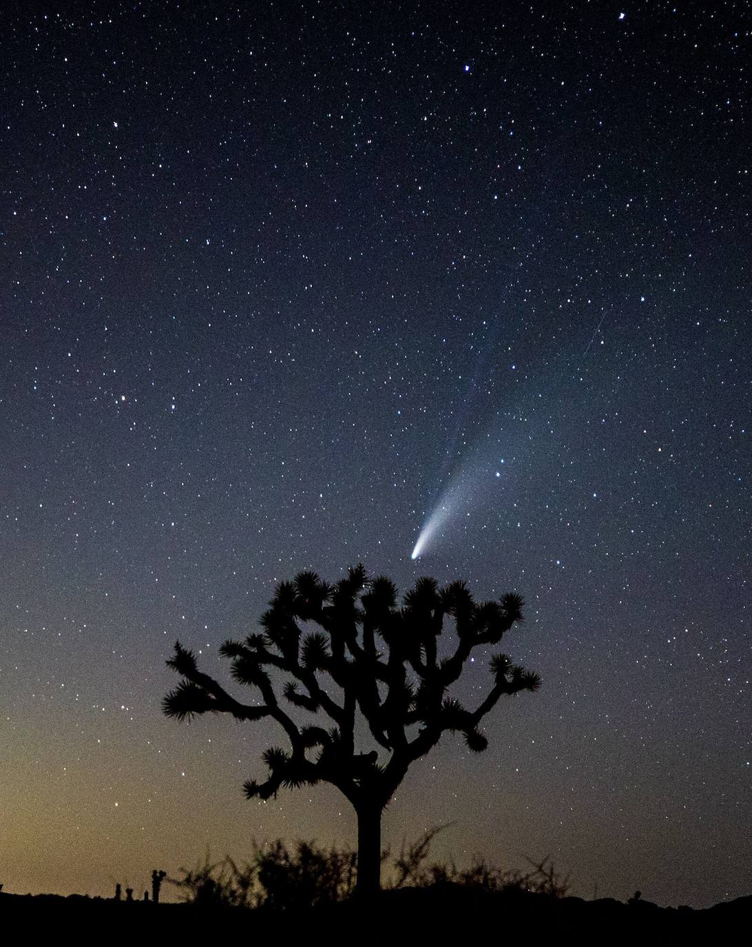 Fotos: El paso del cometa Neowise desde la Tierra, algo que no ocurría hace más de 20 años