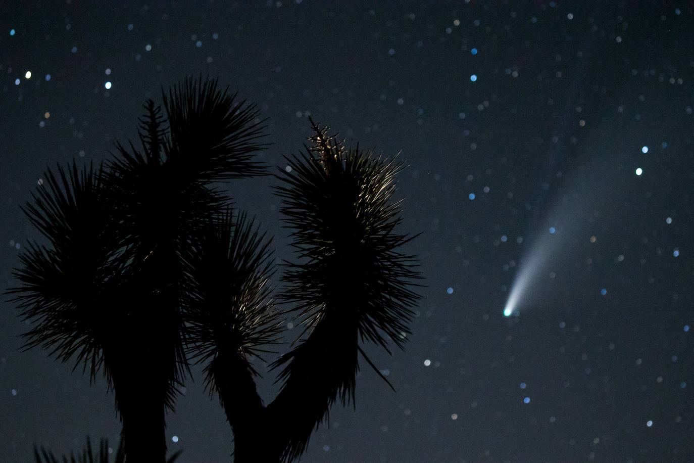 Fotos: El paso del cometa Neowise desde la Tierra, algo que no ocurría hace más de 20 años