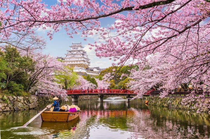 5.- Hanami o floración de los cerezos (Japón) | Este árbol es absolutamente sagrado en la cultura nipona y está presente en todo jardín que se precie. Durante su floración, los japoneses celebran el hanami, un ritual pagano consistente en organizar picnics bajo su sombra. 