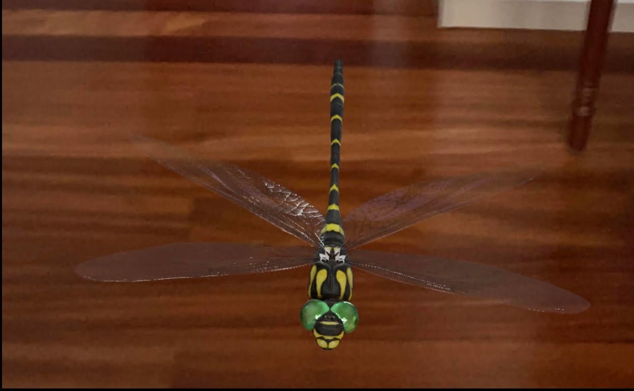 Una libélula virtual sobrevuela el salón de una casa. 
