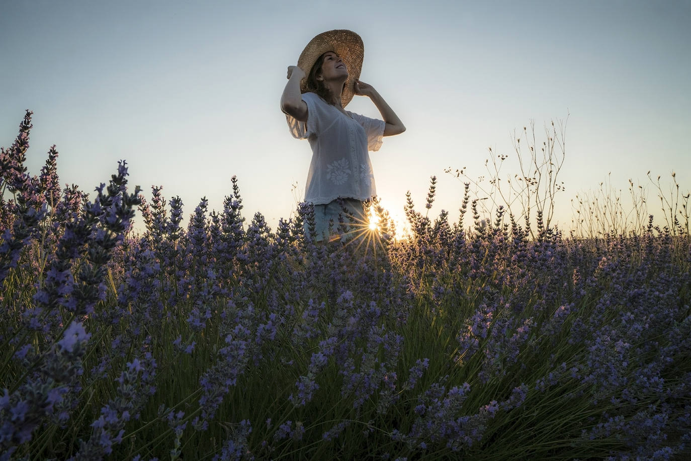 Fotos: Un paseo por los campos de lavanda