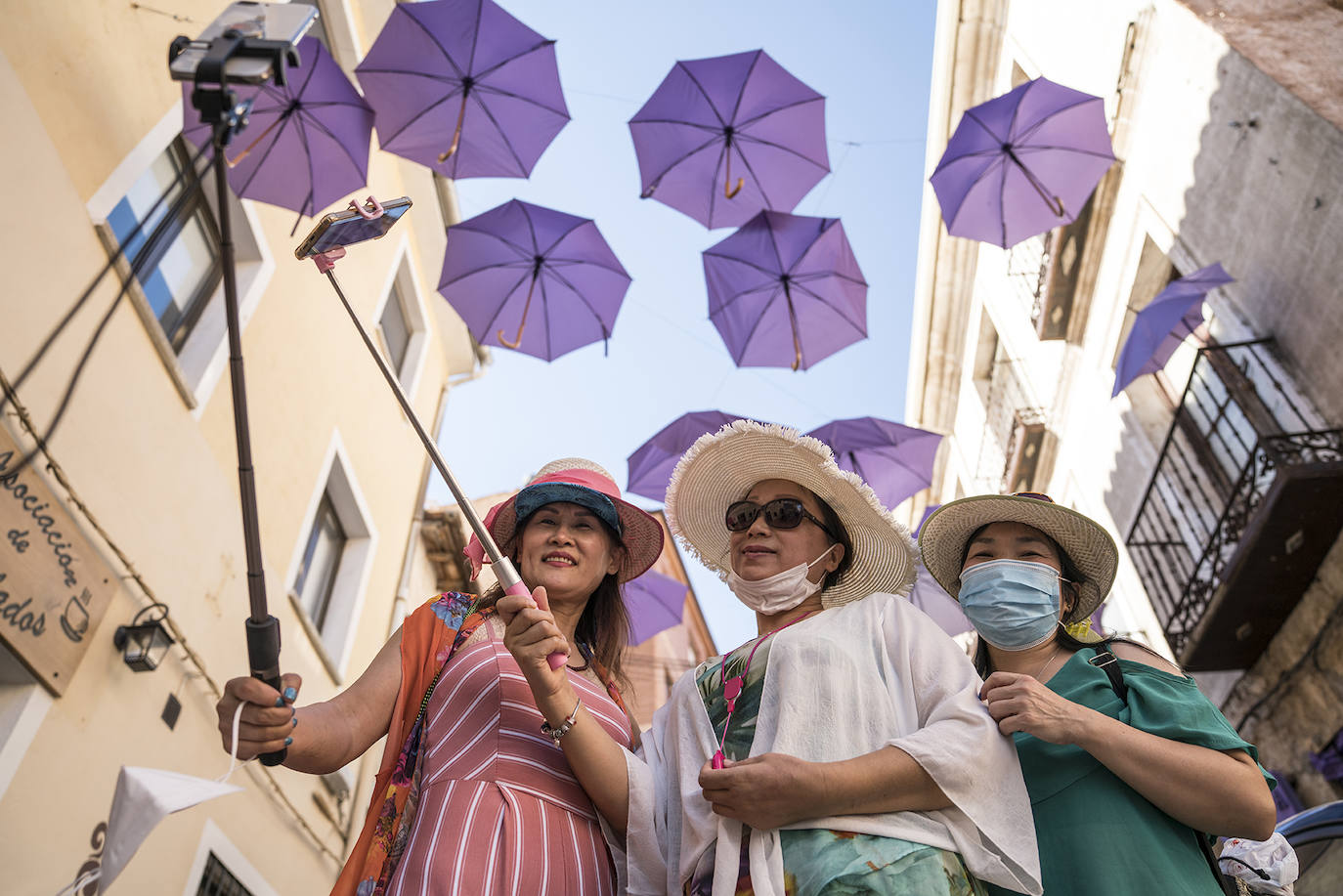 Fotos: Un paseo por los campos de lavanda
