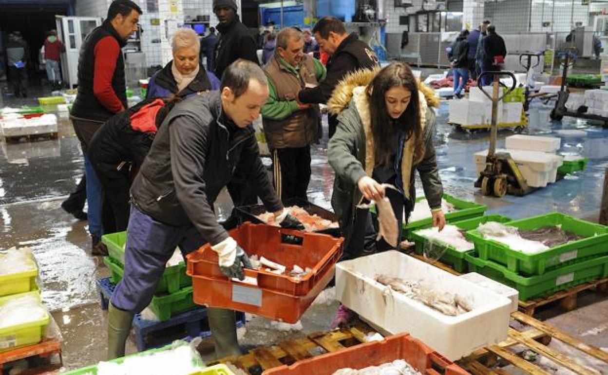 Mercabilbao comercializa más de 2.900 toneladas de pescados y mariscos/ 
