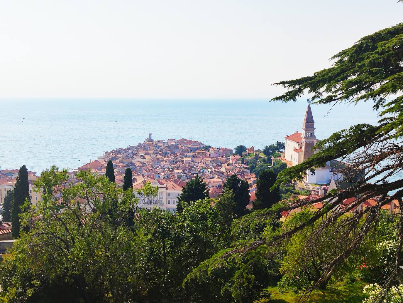 Panorámica de Piran. 