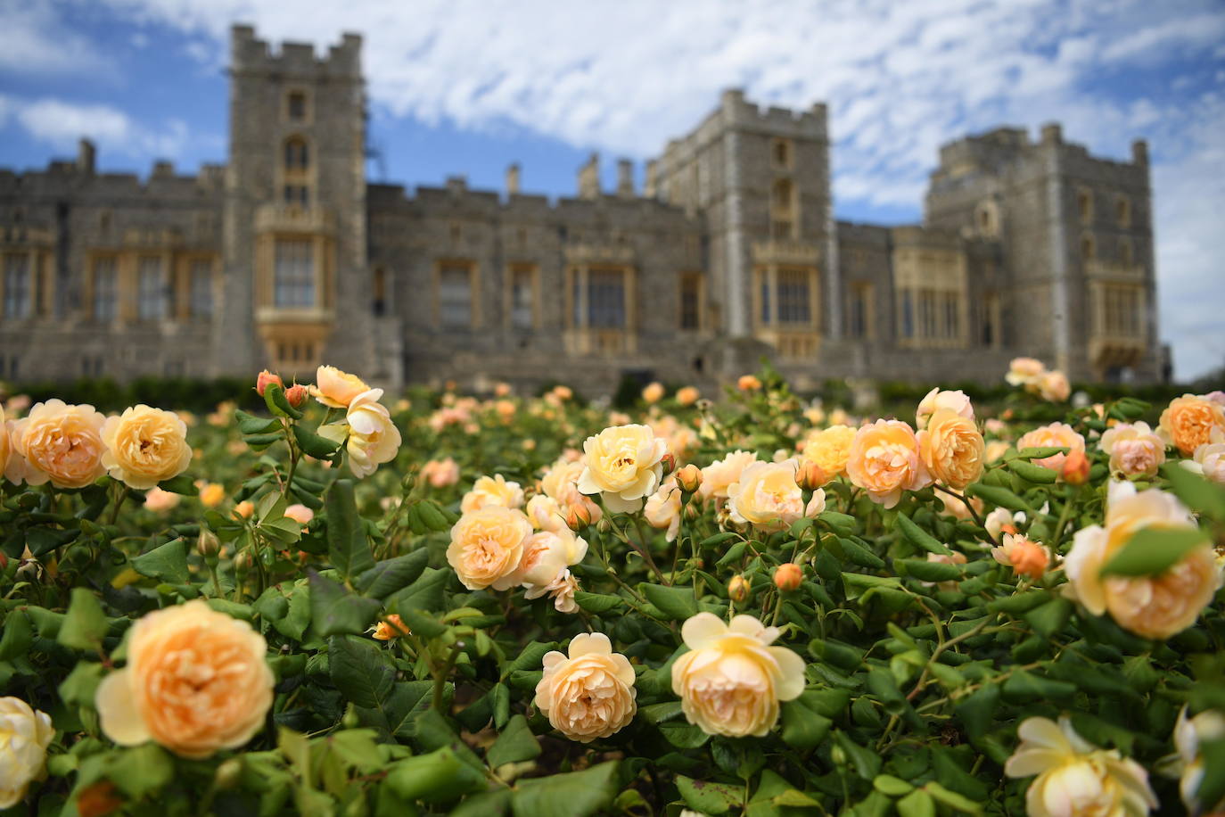Fotos: El jardín secreto de la reina de Inglaterra
