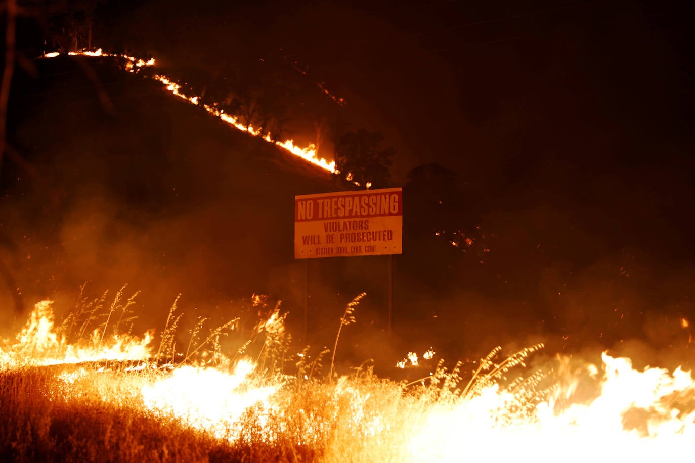 Fotos: El fuego arrasa más de 400.000 hectáreas en California