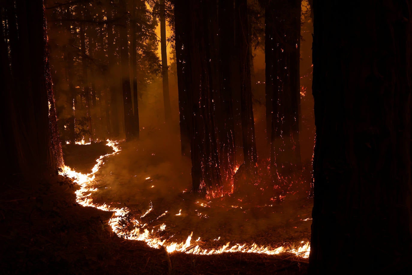 Fotos: El fuego arrasa más de 400.000 hectáreas en California