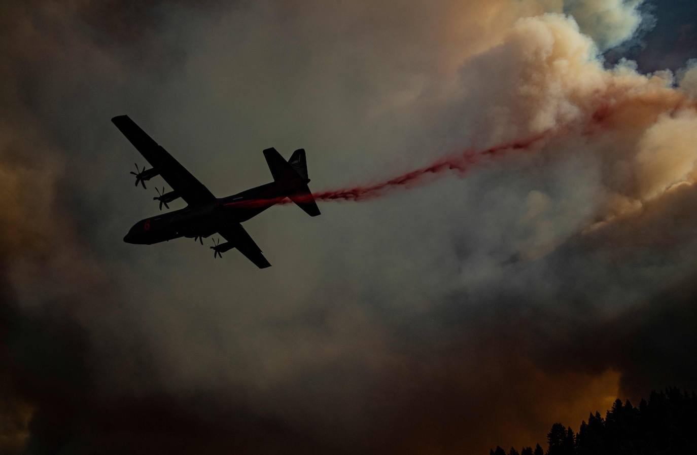 Fotos: El fuego arrasa más de 400.000 hectáreas en California