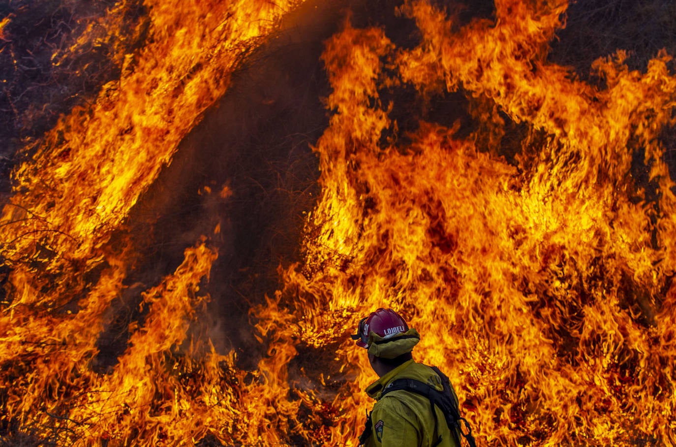 Fotos: El fuego arrasa más de 400.000 hectáreas en California