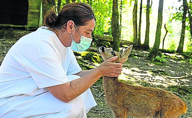 Nerea Larrabe, en el refugio de Basondo.