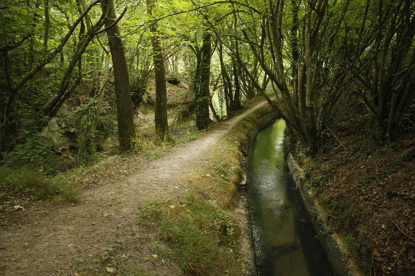 Ruta del agua de Berganzo (Álava)